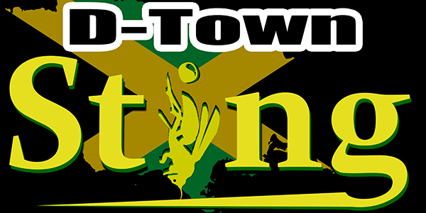 Logo d townsting 600